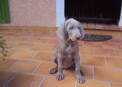 des weim's speed and class - Deuxième départ !!!