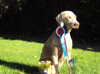 des weim's speed and class - CHAMPIONNAT DE FRANCE !!! 