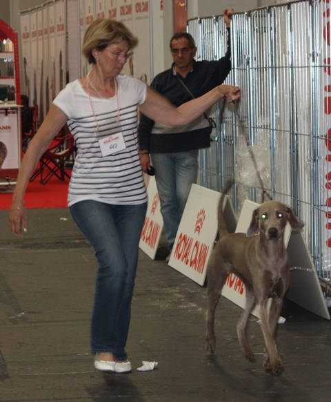 Bree en expositon